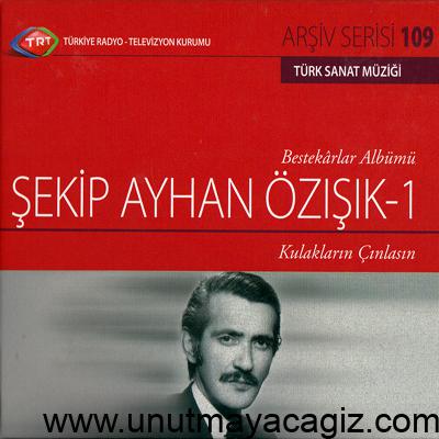 Şekip Ayhan Özışık